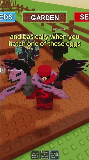 how to get butterfly pet in grow a garden roblox