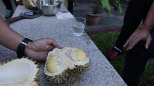 352K views · 10K reactions | Durian tasting napud ta! Let's see unsa pinakalami hehe. Sulayan daw nato ning kanyaw variety from Thailand! hehe #durian | Papa Gov Arturo Uy | Facebook