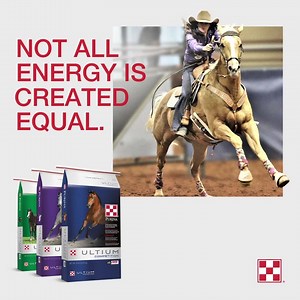 283 reactions · 12 shares | Purina® Ultium® formulas are uniquely engineered with the Sustained Energy System®, a carefully calibrated blend of fuels that provides the sustained energy horses need to set the pace, records or just personal bests. Learn more at purinamills.com/ultium | Purina Horse Feed | Facebook