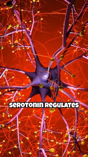 9 Hormones That Secretly Control Your Behavior (Psychology Facts)