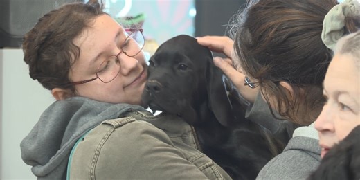 Humane Society of the Ohio Valley hosts first-ever Puppy Mania adoption event
