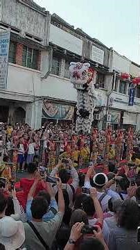 槟城2026年庙会高庄舞狮 #槟城#庙会 #舞狮