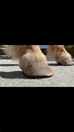 10K views · 167 reactions | This lad is a really cute boy. He had...