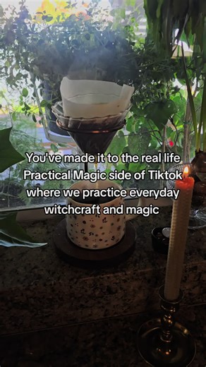 Everyday witchcraft and magic just like in the movie Practical Magic #greenwitch #kitchenwitchery #witchtokrising #cottagewitch #practicalmagic