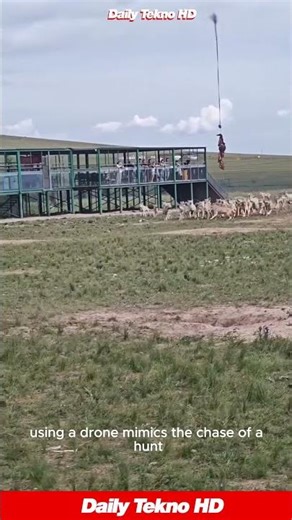 They're feeding wolves with a DRONE 🥩 #AnimalEnrichment