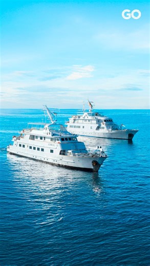 762K views · 1.3K reactions | ✨ Intimate yachts, infinite memories! Step aboard our sister yachts Coral I & Coral II — where elegant comfort, warm service, and close encounters with Galapagos wildlife create a journey like no other  Ready to explore in style?   Book now: Link in BIO | Go Galapagos Experience | Facebook