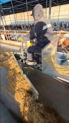 Efficient Dairy Farm Feed Pusher #satisfying ‪@MNnhattech‬