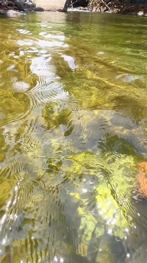 Gold Mining Techniques: Unearthing Quartz Riches