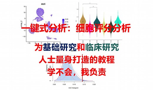 原理与结果解读：一键式完成5种单细胞细胞评分分析，singscore+AddModuleScore+AUCell+ssGSEA+UCell