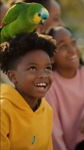 How To Keep Your Parrot Happy (And Prevent Screaming)