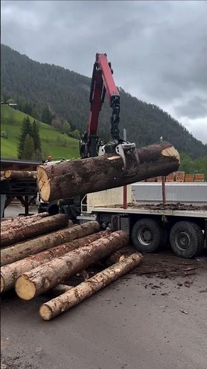 Pro Crane Skills: Loading Massive Logs 🏗️ #wood #asmr #germanengineering #woodworking #cnc #machine