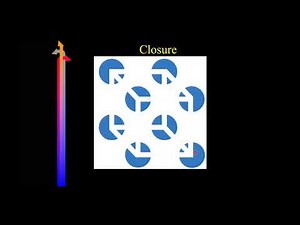 Perception - General Psychology Chapter 6 Lecture