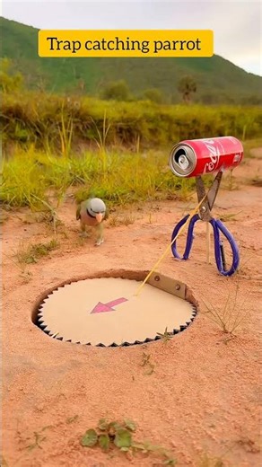 trap catching parrot #funny