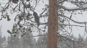 Merry Christmas and Happy Holidays from Team 399... | Team 399