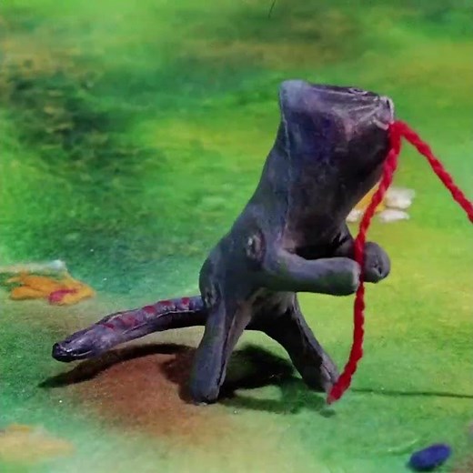 Peter and the Wolf (1973)