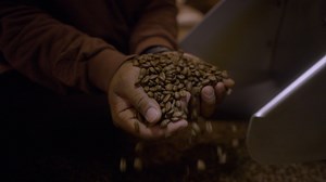 Why Nescafé instant coffee sales are surging