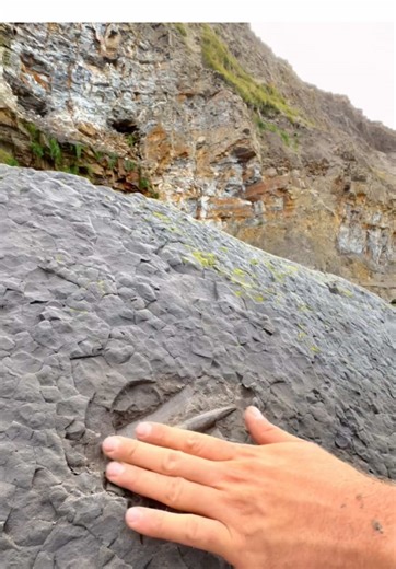 Discovering Belemnites: 185 Million Years Uncovered