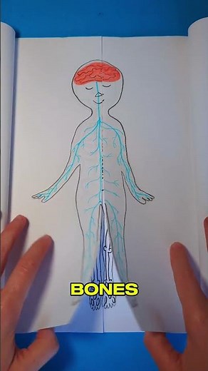 Exploring My Body: A Fun DIY Adventure! 🌟🦴