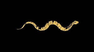 Animated golden snake fireworks pattern flying through the frame. Space for New Year 2025 greetings. Chinese New Year celebration. Golden snake crawling on black background. Seamless loop.