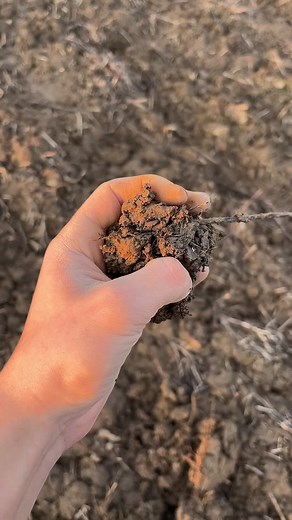 imp_Hadrian на TikTok