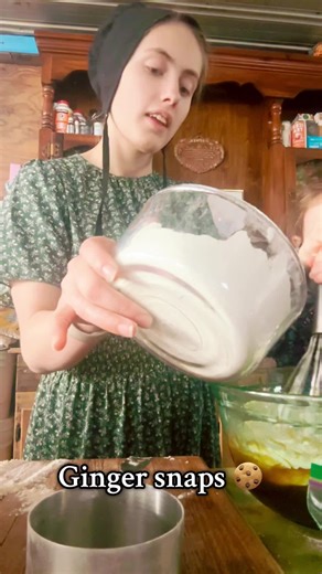 Delightful Homemade Ginger Snaps Recipe to Love