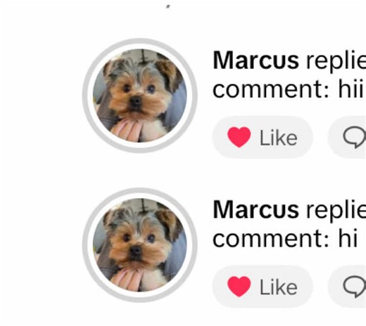 🤍 @Faye&@Marcus -@ROCK SQUAD #fyp #moots? #maye #f4fmoots #L4L @𝓪𝓭𝓻𝓲𝓪𝓷𝓪 @adelina💝😝😝 @lizzy @RockSQAUD edits @aubrey ୨ৎ @clara 𝜗𝜚 @adelina_idk8 @⋆˚࿔ Clara 𝜗𝜚˚⋆ @grace ꨄ︎ @phebe🙉 @gia_and_faye_edits @fayefayeesecretaccountt @izzy