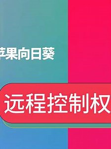 如何使用Mac苹果电脑向日葵远程控制权限在哪里打开怎么设置