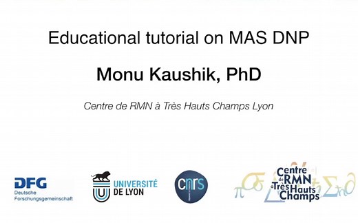【Global NMR】MAS DNP NMR的基础介绍 | Session 01 | 固体核磁 | 双语字幕