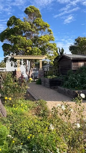 63 reactions · 7 comments | Belly mapping is not new. It is...