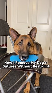 470K views · 24K reactions | This video was filmed several months ago...