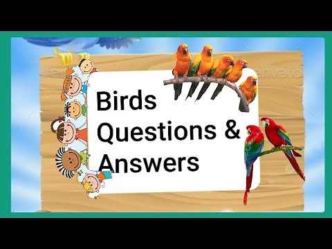 Birds Questions and Answers for kids /birds quiz / birds questions for lkg /Birds for kids