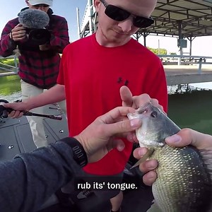 13K views · 60 reactions | This Fish Was P*$$ED!!! | Lunkerstv | Facebook