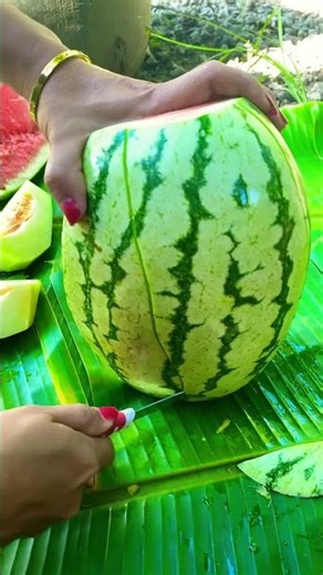Watermelon Fruit #watermelon