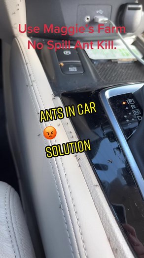 LOML:Solutions ANTS GONE Maggie’s Farm No Spill Ant Kill WORKS #ants | ants