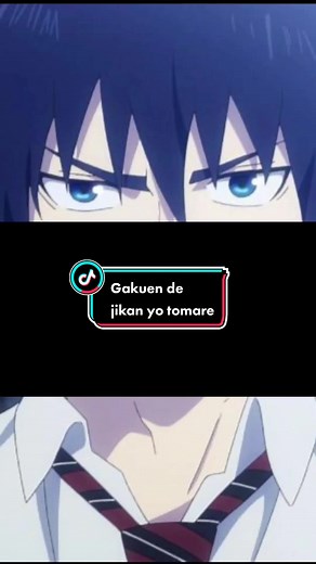 Gakuen de Jikan Yo Tomare: Anime Overview