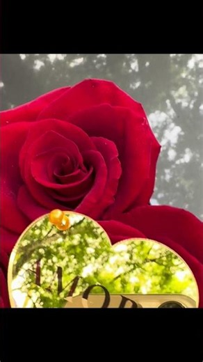Luxury Rose Handbag ❤️🌹 | The Most Elegant Floral Gift