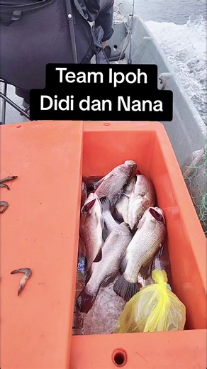 Pasangan suami isteri dengan hobi yang sama. . memancing gais. kali ini diaorang turun dengan aku di muara Changkat kruing. @nananonat #Siakap #MJ #tekongchangkatkruing #Teamgawas #pelampungtenggelam