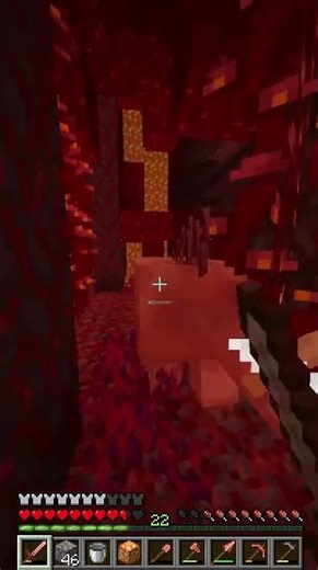 Pig vs Technique of the year