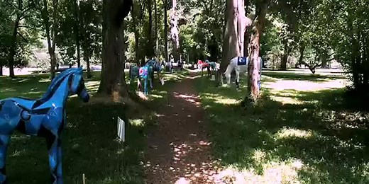 All 160 Horse Mania horses, foals in one spot for limited time