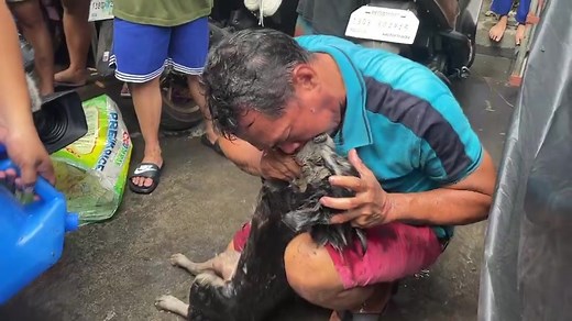 7.1M views · 150K reactions | UPDATE: Sa kabila ng tangkang pag-revive ng mga residente sa aso at pagtakbo rito sa veterinary, hindi pa rin nakasalba ang alaga. Naipit sa sunog sa Sta. Cruz, Maynila ang aso nitong Huwebes, February 15. |via Robert Mano, ABS-CBN News | ABS-CBN News | Facebook