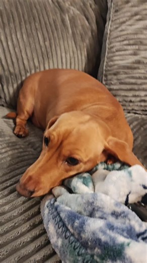 Denny tools (@denny.tools)’s videos with original sound - Denny tools