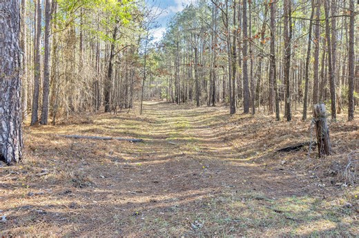 0000 Banks Mill Road SE, Aiken, SC 29803 - MLS 222426 - Coldwell Banker
