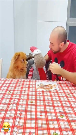 My buddy eats like a star ⭐🍝 #multilingual #loyalty #funny #pet #foryou #asmr | Stanley Dirt Mardim