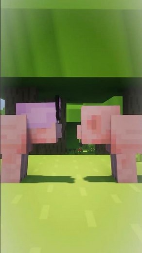 Birth to Death of a Pig in Minecraft