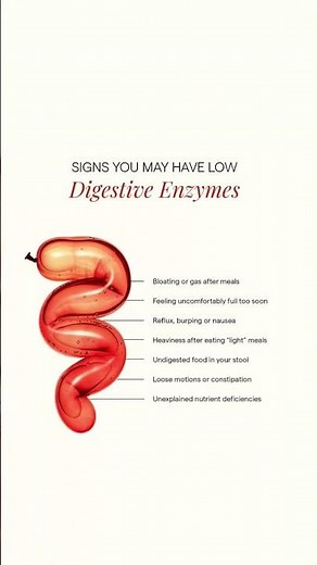 Signs you may have low Digestive Enzymes🩺 #digestiveenzymes #digestivehealth #nclex #youtubeshorts