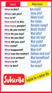 160K views · 1.8K reactions | Daily use sentences are very important to improve your English level. #englishinoromo #englishinamharic #education #vocabulary #Ethiopia #English #reading #foryou #usa | Mubarek Aman | Facebook