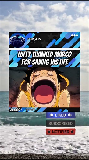 #onepiece #marco #luffy