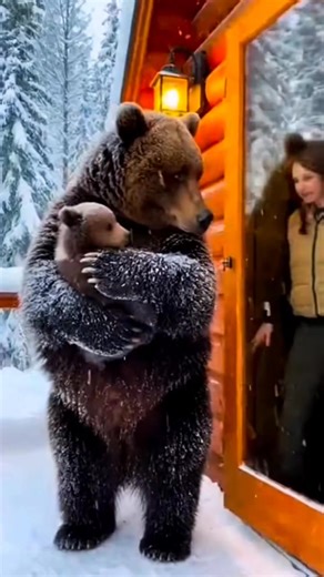 “Bear Hug Goals 🐻❤️ When a mama bear brings her baby to your doorstep… and you just *have* to say hi! #BearHug #MamaBear #CuteAnimals #WildlifeEncounter #NatureLovers #WinterWonderland #AnimalMagic #AdorableMoments #ViralVideo #TrendingNow --- **💡 Pro Tip for Engagement:** Add a short caption like: > “She didn’t knock… she brought her baby. 😍 The most unexpected houseguest ever. Would you open the door? 👇” This combo of emotional visual appeal trending hashtags will help your video go far on