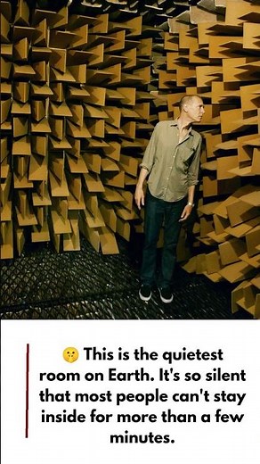 The Quietest Room on Earth 🤫