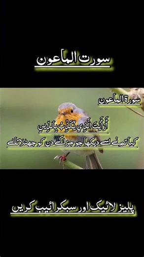 Surah Al Maun Quran recitation 💯🤲